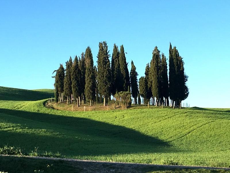 Camera La Margherita San Quirico dʼOrcia Εξωτερικό φωτογραφία